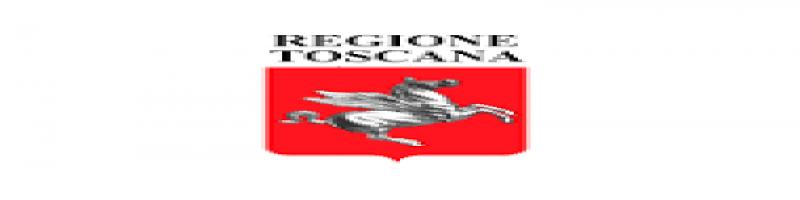 Reddito Regionale di Reinserimento Lavorativo